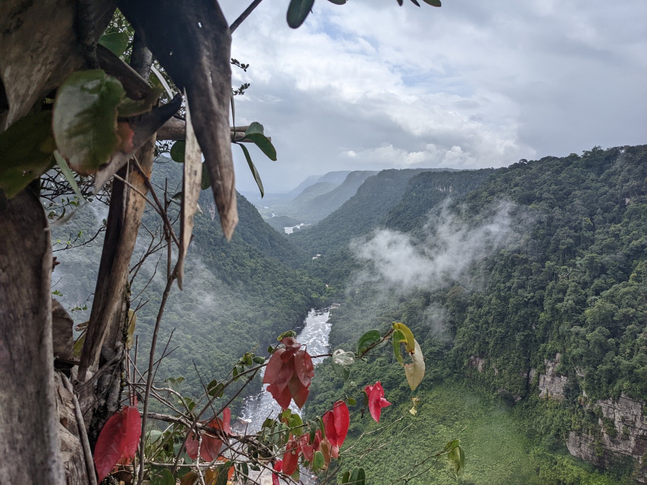 : Kaieteur Falls in Kaieteur National Park, Guyana. 