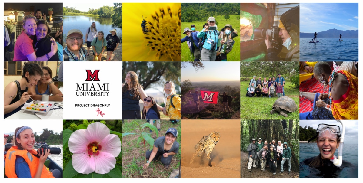 A medley of photos.