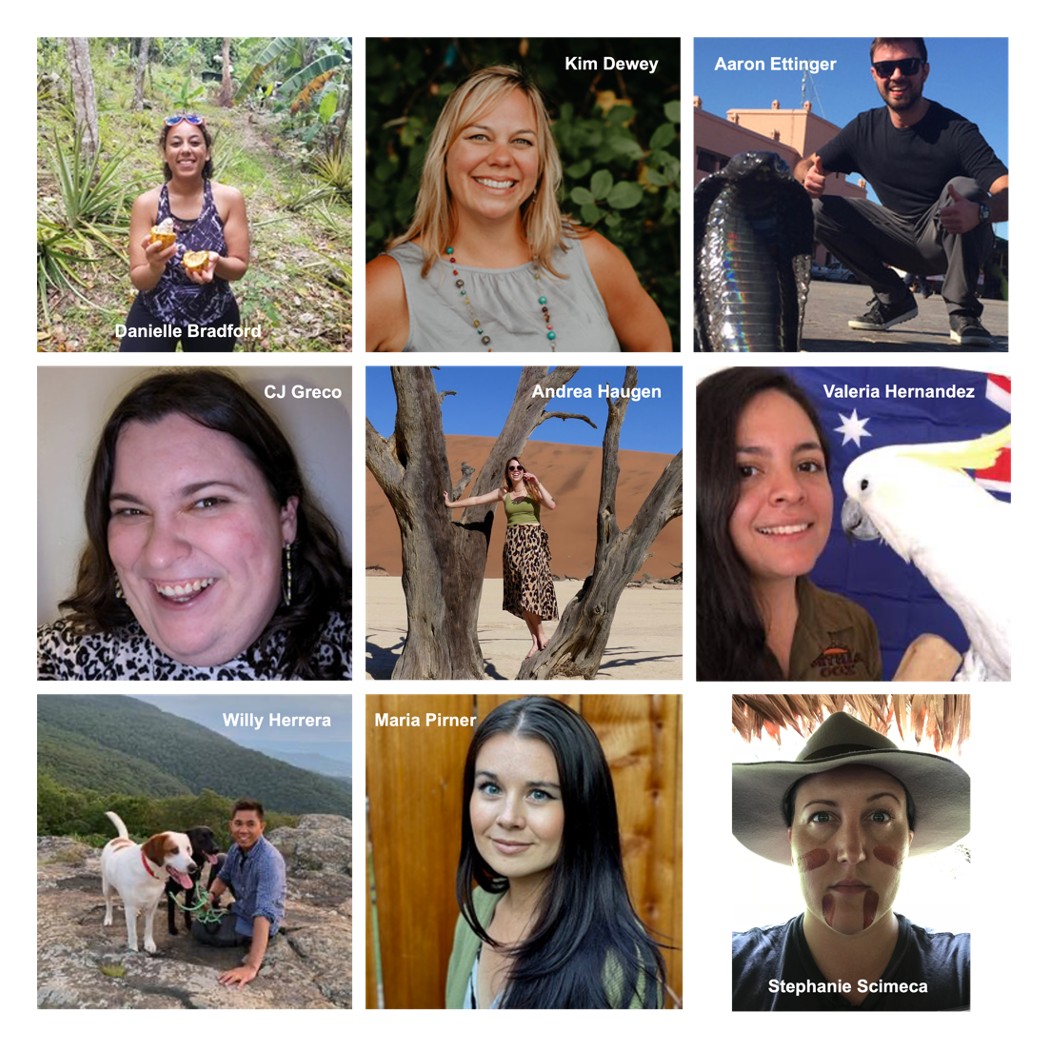 collage of winners