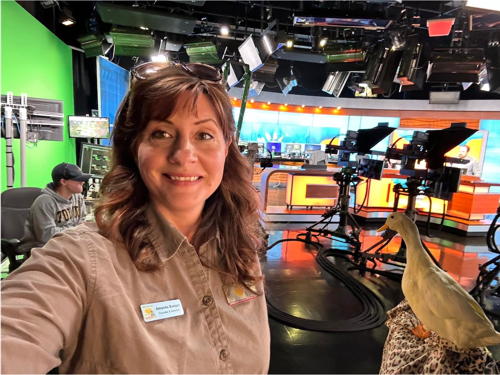 Amanda Badger and Looy the duck