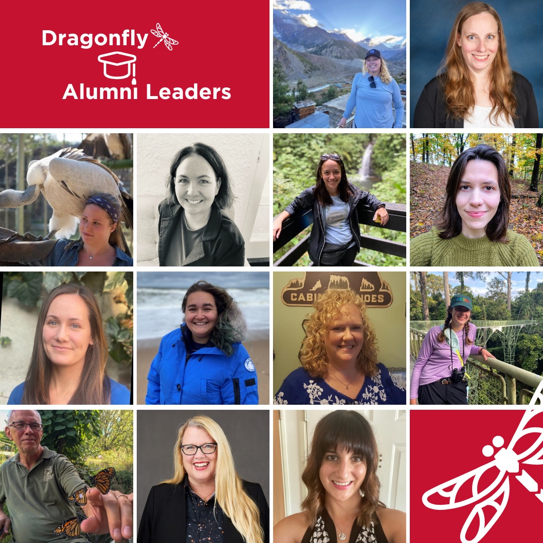 Dragonfly Alumni Leaders