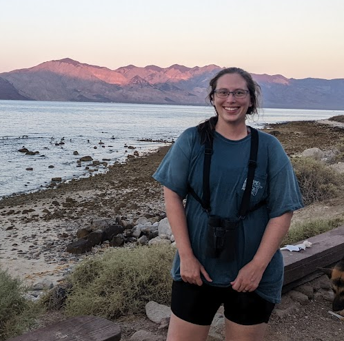 Passive bird monitoring gets funded