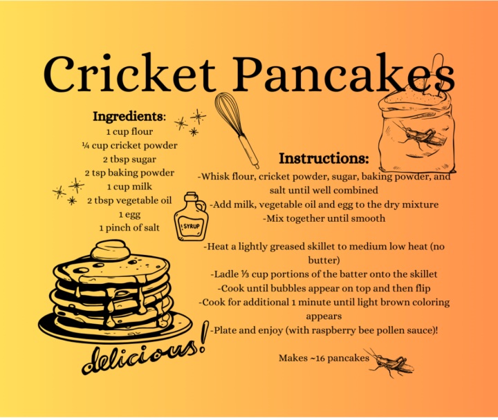 Molly Biag's recipe for Cricket pancakes