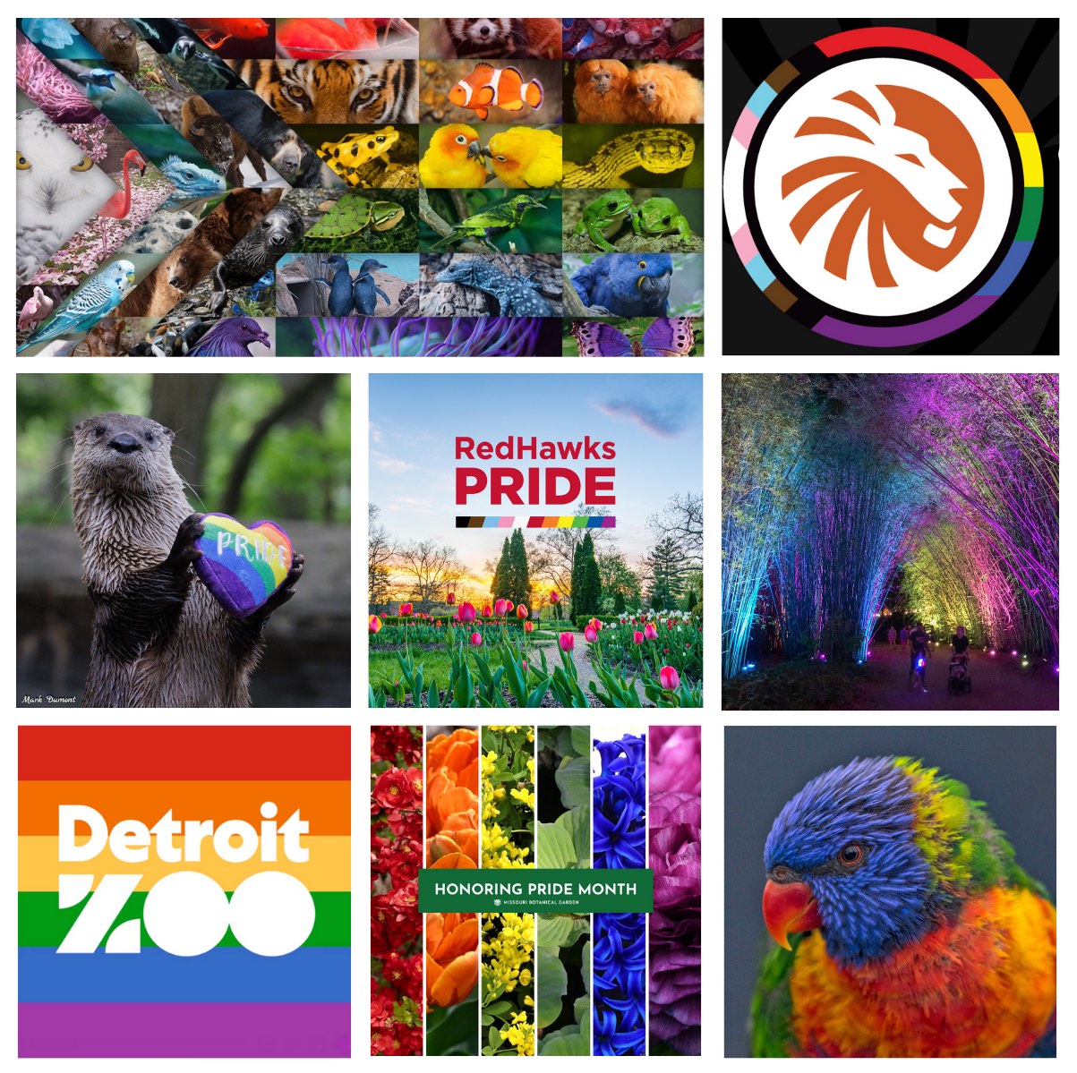 Photos, clockwise from top left, courtesy of our AIP collaborators and Miami University: Bronx Zoo/Wildlife Conservation District, Brookfield Zoo Chicago, Cincinnati Zoo & Botanical Garden, Detroit Zoo, Jacksonville Zoo and Gardens, Miami University, Missouri Botanical Garden, and San Diego Zoo Wildlife Alliance. 