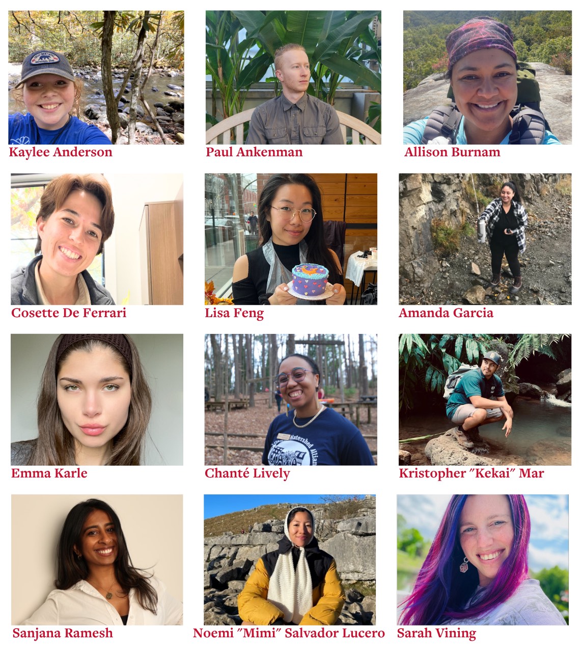 A three by four image of all twelve scholarship winners.