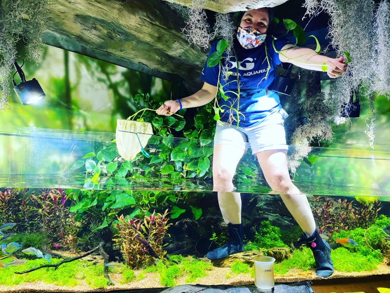 Stephanie Costagliola