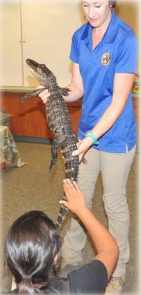 women holding alligator  