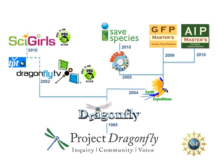 df phylogeny slide