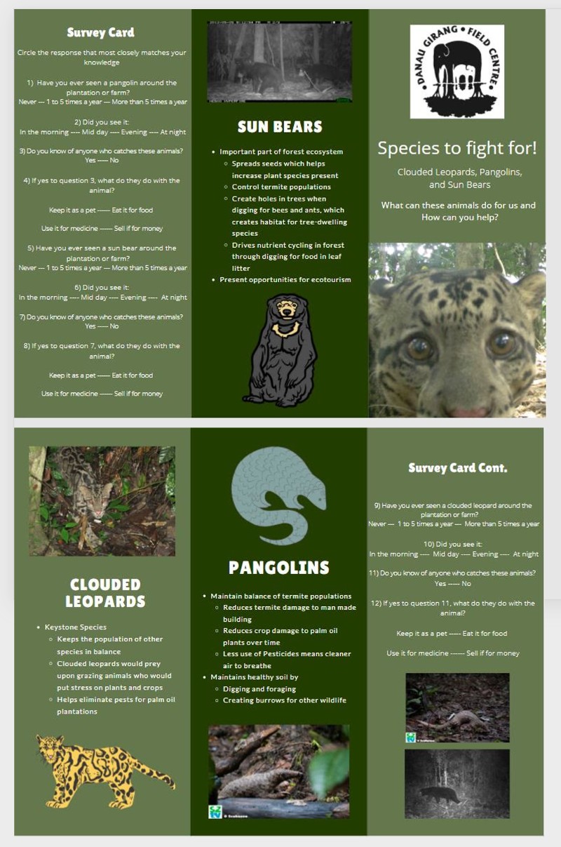 For their summer “Globally Connected Conservation” course, Dragonfly students John Bihun, Nicole Donaldson, and Lisa Nichols created this brochure to help support the ongoing conservation work of our Earth Expeditions partner, Danau Girang Field Centre (DGFC), in saving clouded leopards, pangolins and sun bears. Working in collaboration with DGFC director, Benoit Goossen, and course co-facilitators Chris Myers and Lynne Borne Myers, the students also developed a survey card. This GCC project is designed to help inform the local community about the benefits of these species and collect information from species sightings.