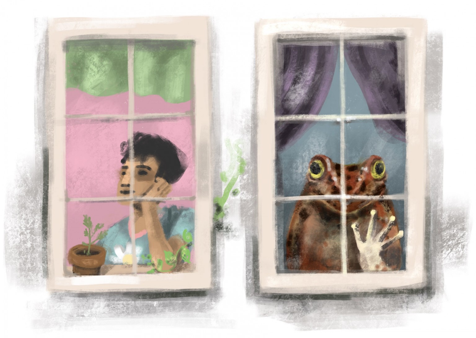 drawing of man and frog in a window
