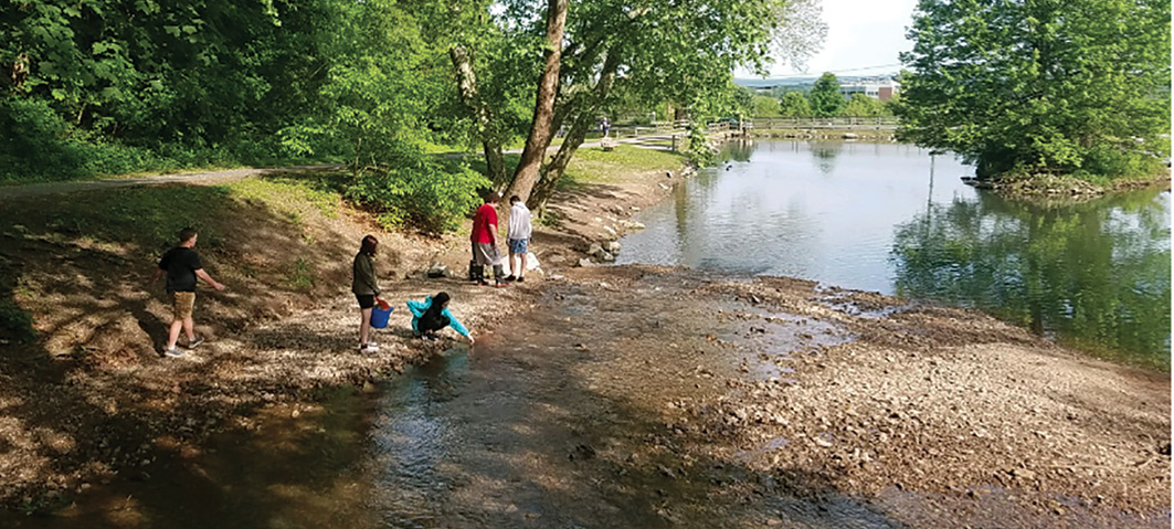 cleaning river water