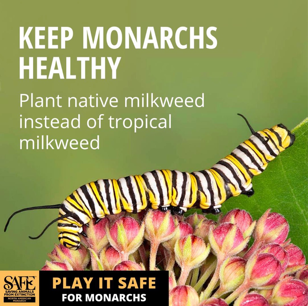 Zoo Biology journal cover