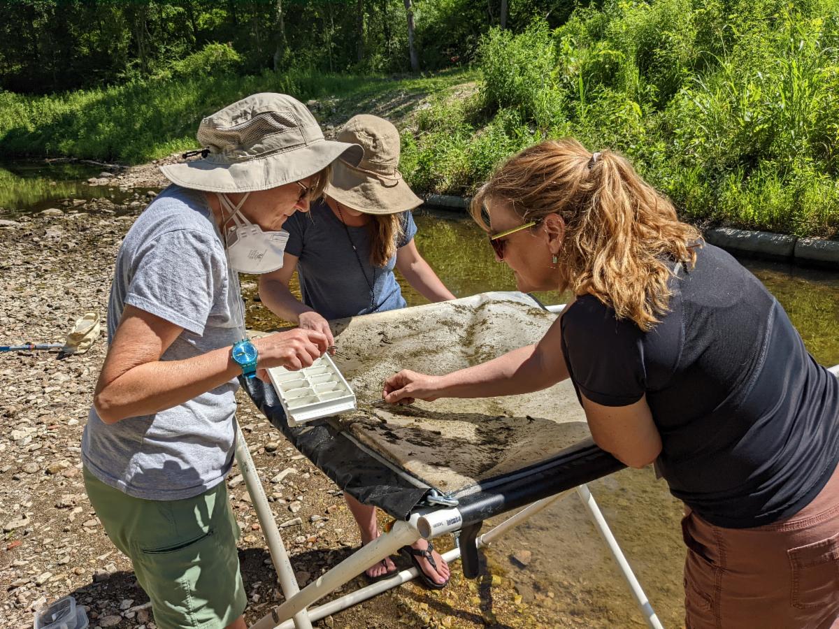 Students' sifting through some silt.