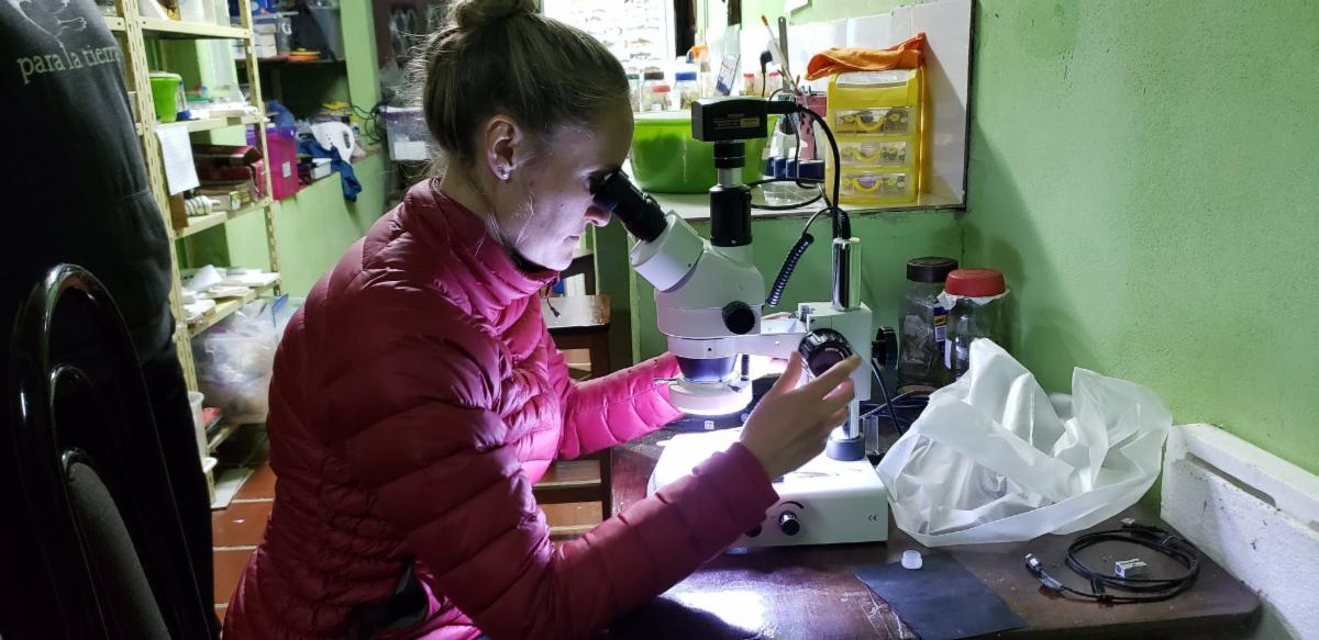 A student looking through a microscope.