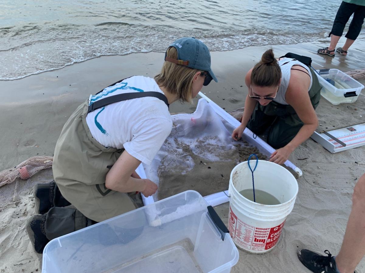Two students sifting through sand.