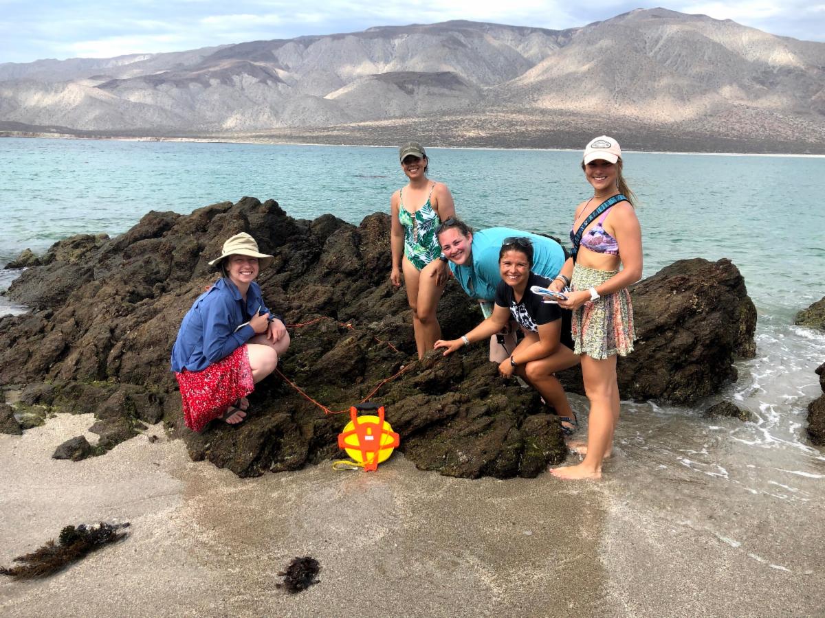 Students on a beach.