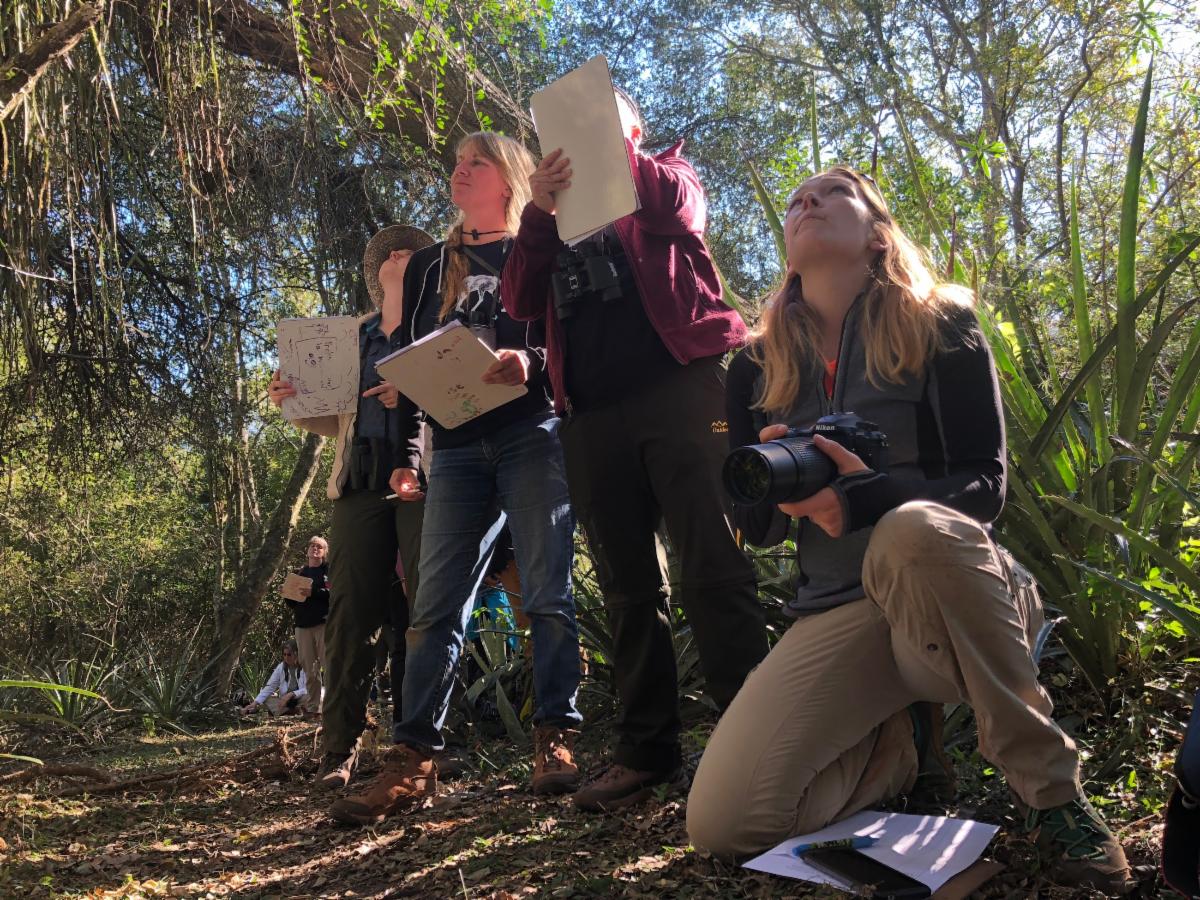 Students looking up in the trees.
