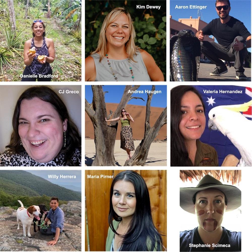 A compilation of 9 photos of the various images.