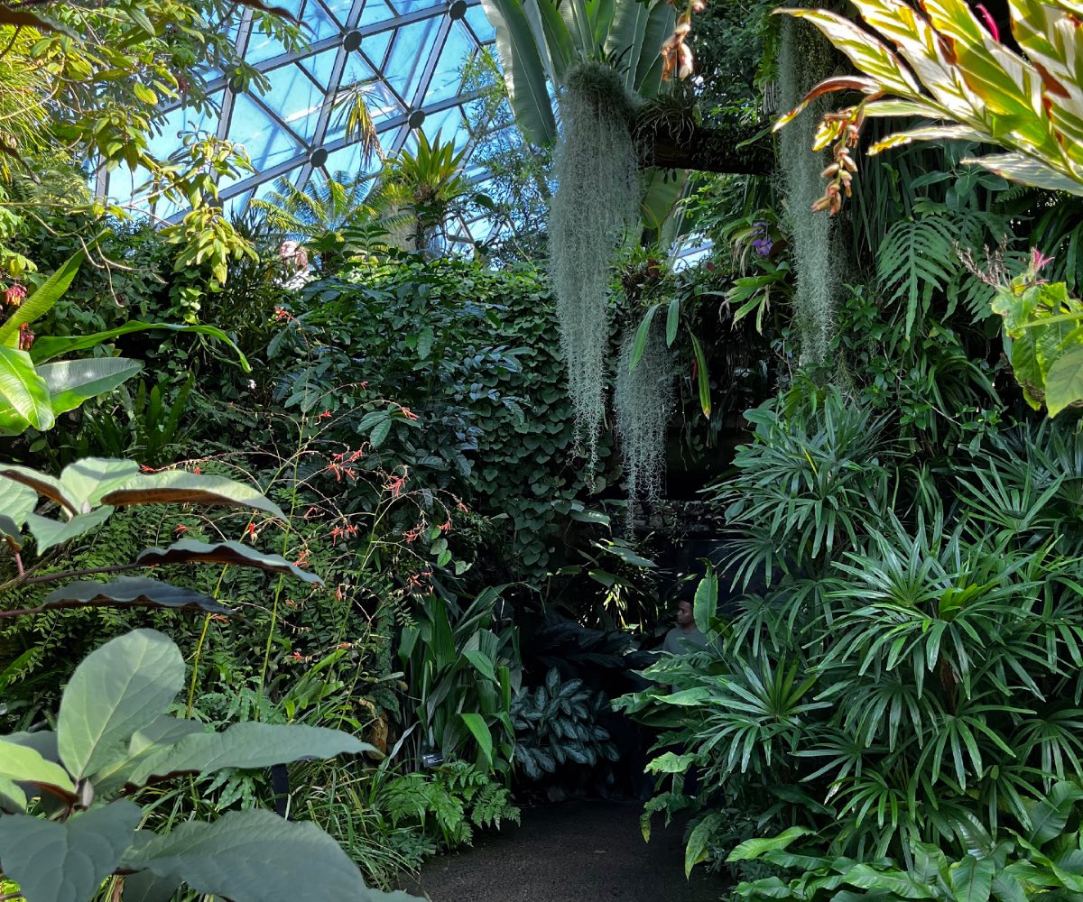 Inside the botanical garden