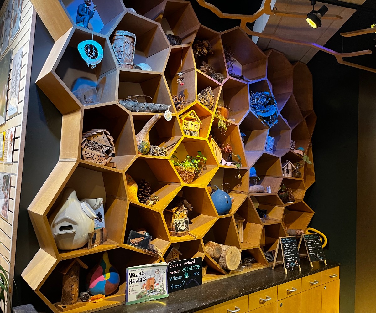A honeycomb shelf display.