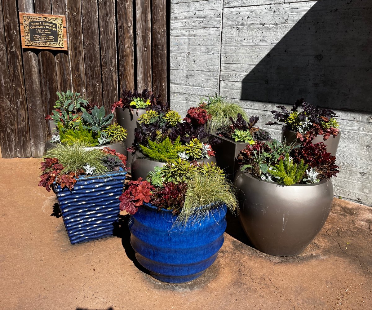 A bunch of plants in pots.