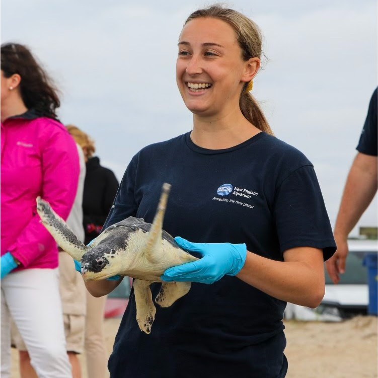 Kristen Luise holding a sea turtle.