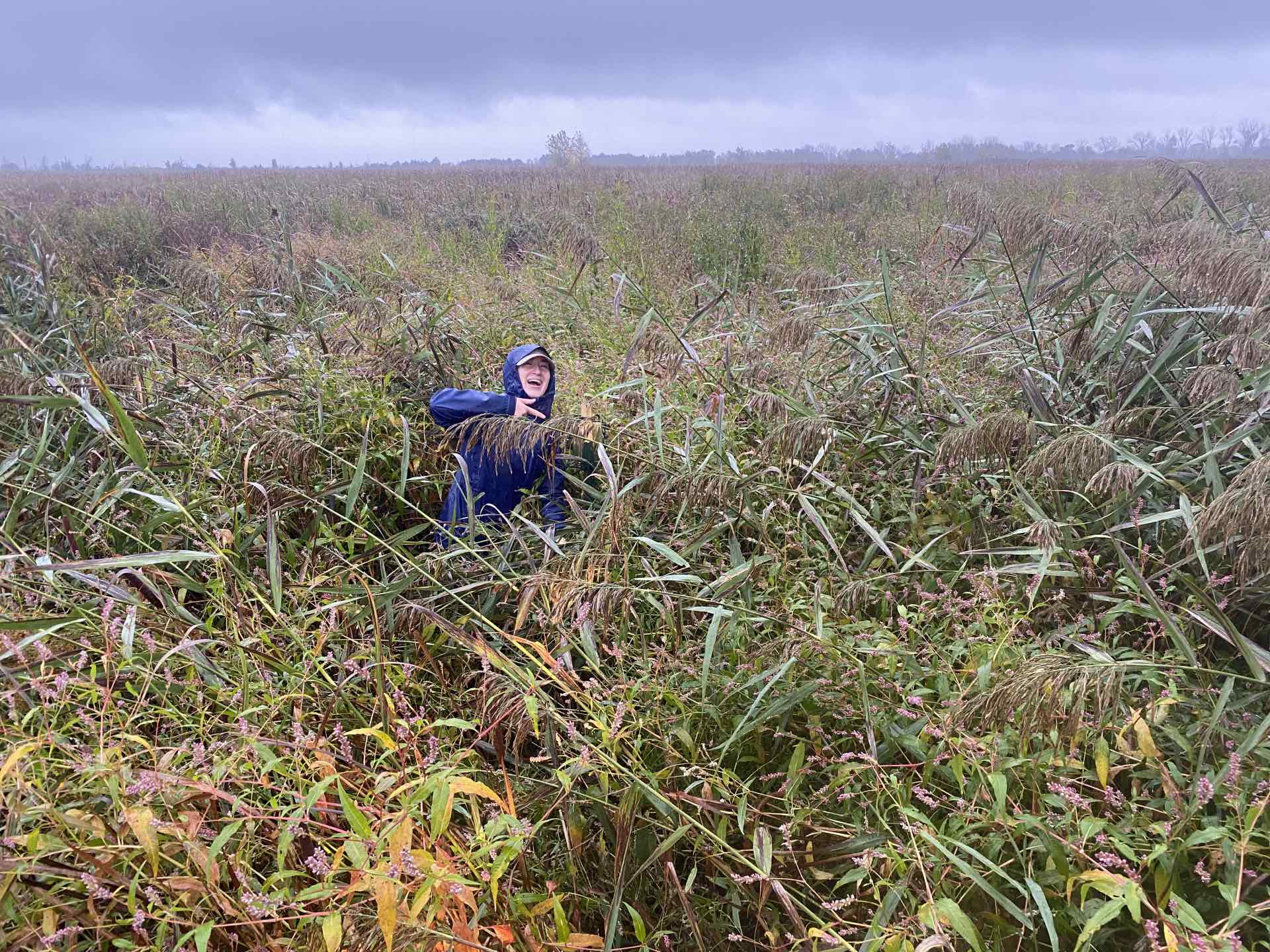 A student in some wetlands