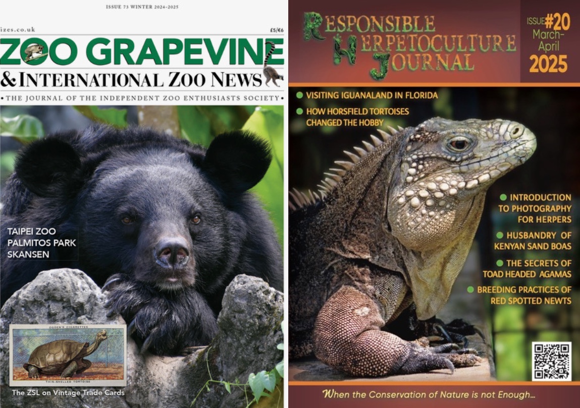 Left image is a front cover of "Zoo Grapevine & International Zoo News" magazine which features a photo of an Asian black bear taken by Bryan Kao. Right image is a front cover of "Responsible Herpetoculture Journal" magazine which features a photo of a Sister Isles iguana taken by Bryan Kao.