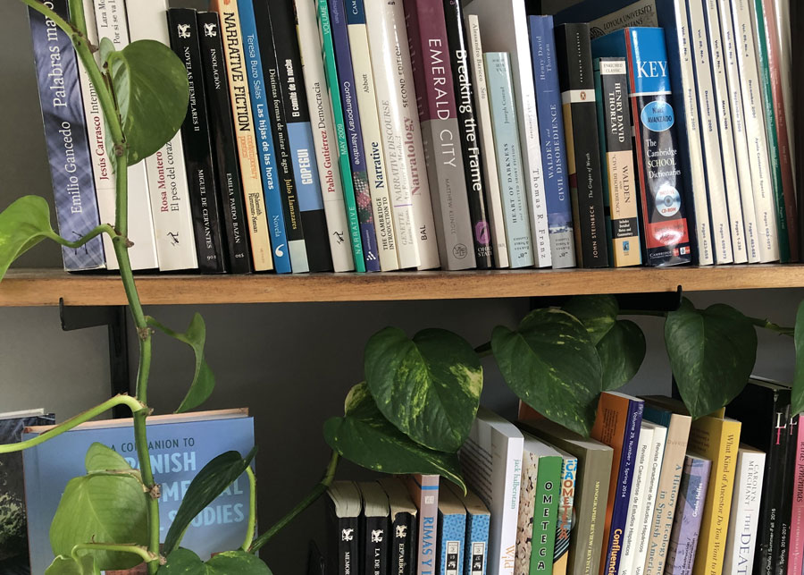 books on a book shelf in a library