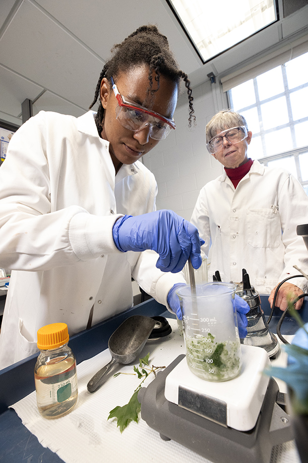 Benchtop in Biomedical Engineering lab
