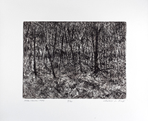 Etching by Joseph L. Cox, III