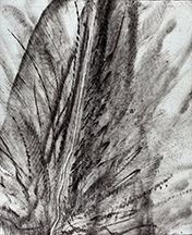 Intaglio by E. James Killy