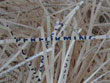 shredded paper with words on it