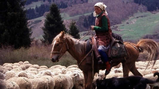 grassroutes