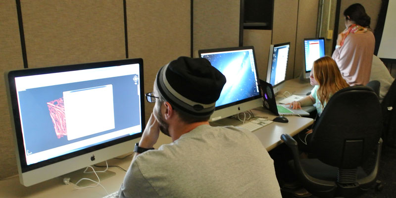 students working in a computer lab