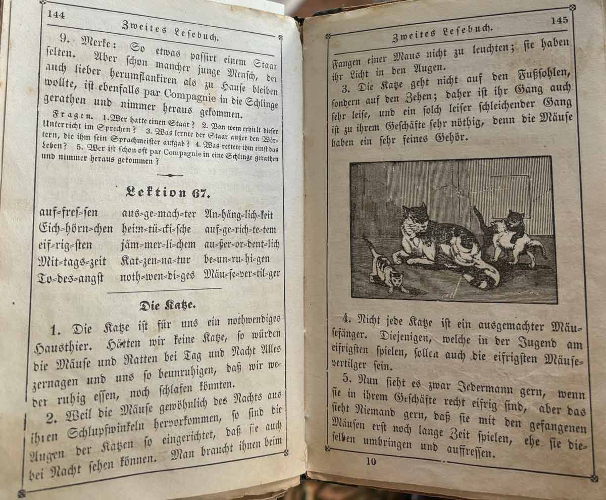 Sample Pages of the Second German Reader
