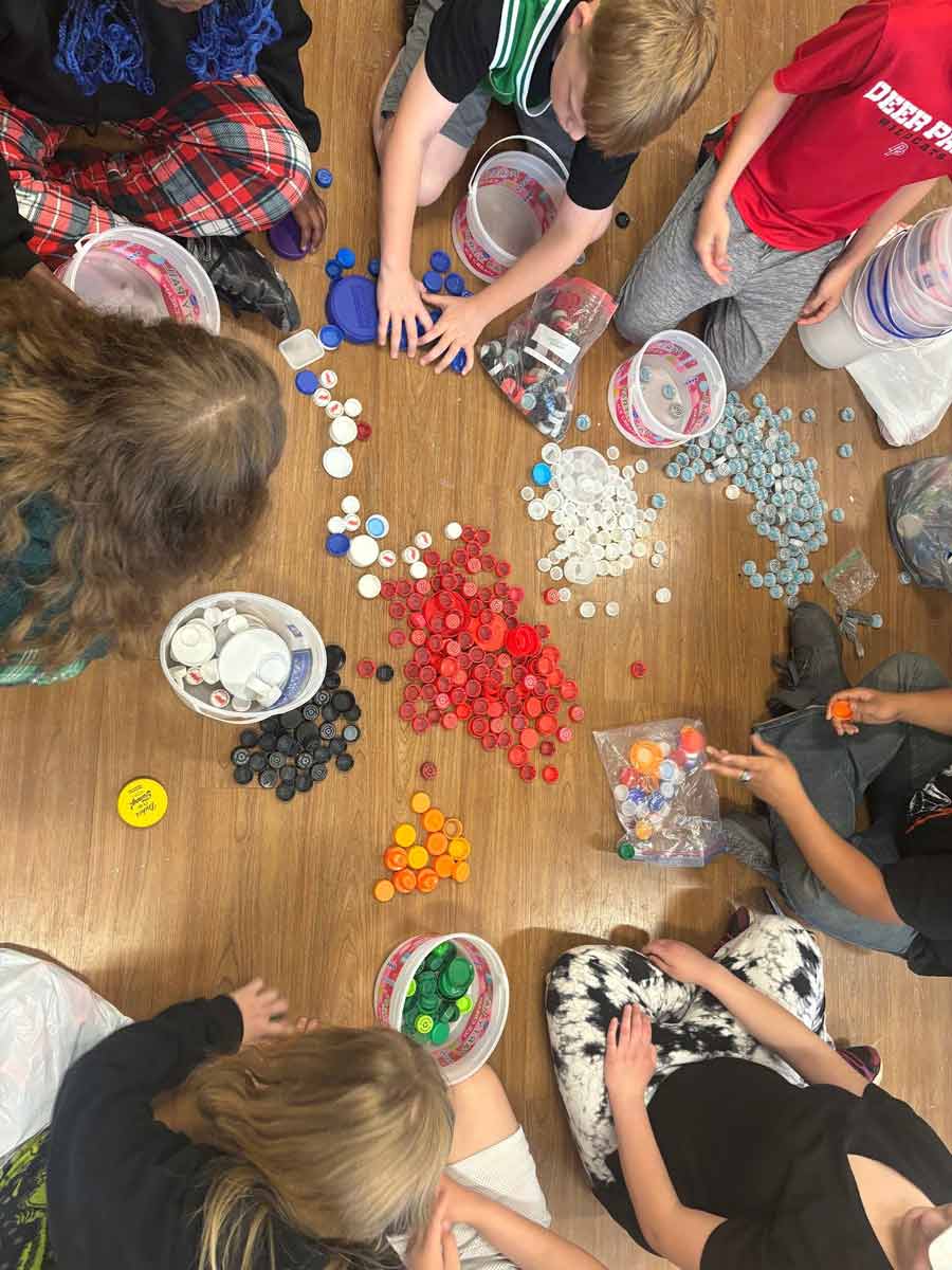 a group of students sorting buttons by color