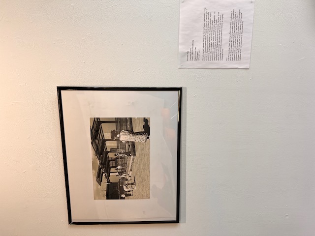 Edges Across Time by Peixuan (Penny) Yan