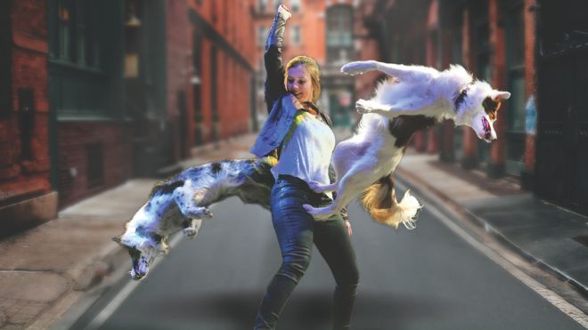 Joan Houghton signaling to boarder collies to perform tricks.