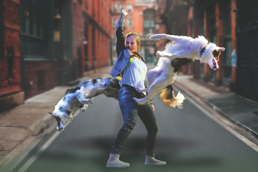 Joan Houghton signaling to boarder collies to perform tricks.