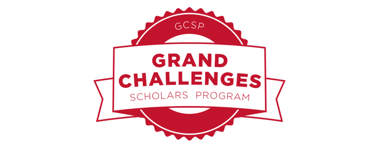 Grand Challenges Scholars Program