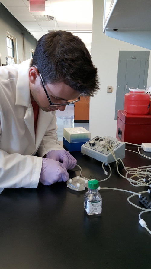 Male student works on a lab table