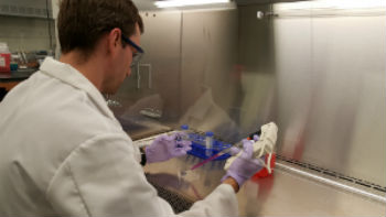 Male graduate student working on an experiment under a fume hood