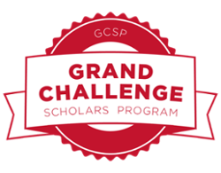 Grand Challenge Scholars Program