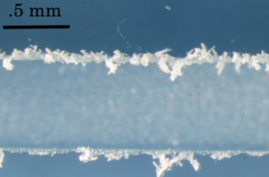 Burrs in Polycarbonate Glass