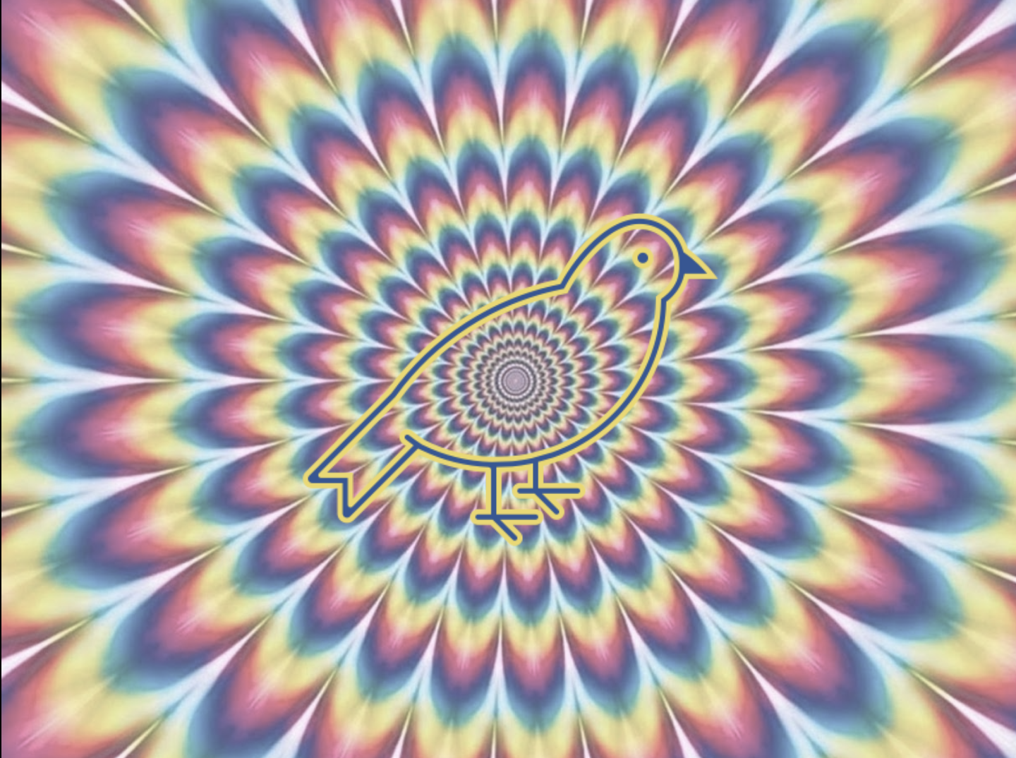 Slide has a bird that represents a finch. The background makes the bird change shape, which alludes to Charles Darwin and his theory of natural selection, which derived from finches.