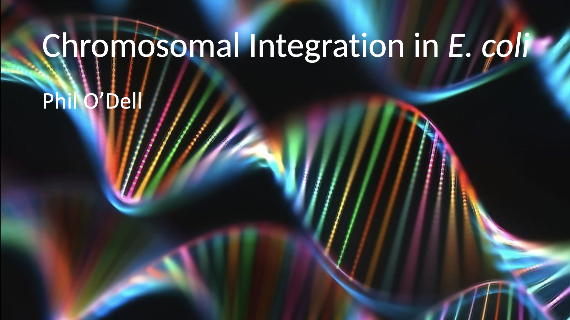 Chromosomal Integration in E.Coli, Phil O'Dell.