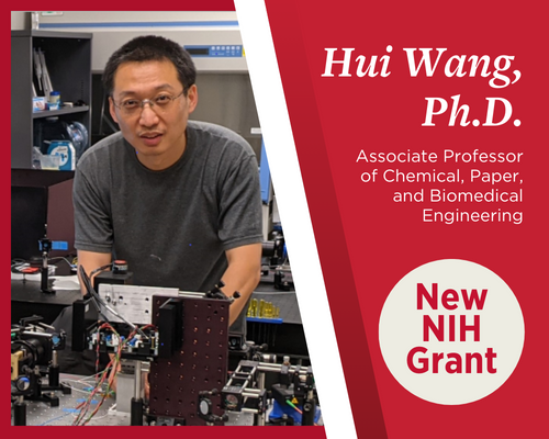 Hui Wang, Ph.D., associate professor of Chemical, Paper, and Biomedical Engineering at Miami University