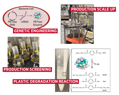 Research diagrams and images provided by Professor Jason Boock, Ph.D.