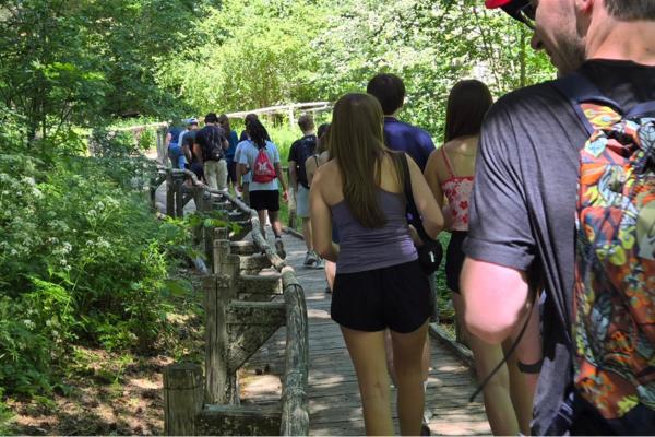 CEC students take a hike through a forested area in southern Italy.